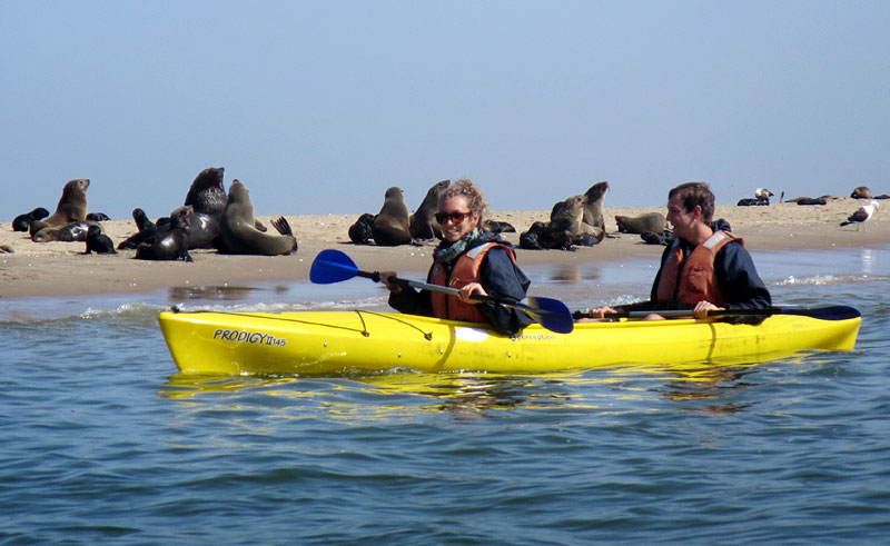 activities at the coast
Activities in Coastal Namibia