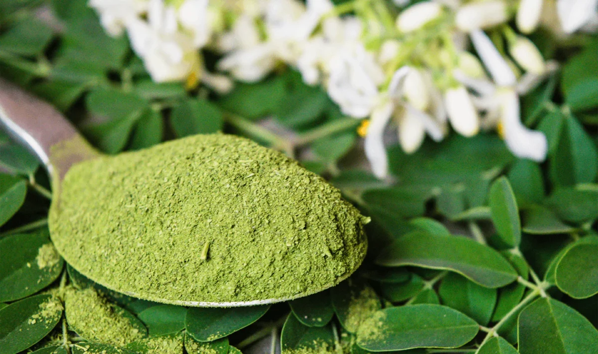 Moringa